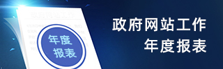 政府网站工作年度报表